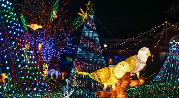 7 Light Displays In Illinois That Are Pure Holiday Magic
