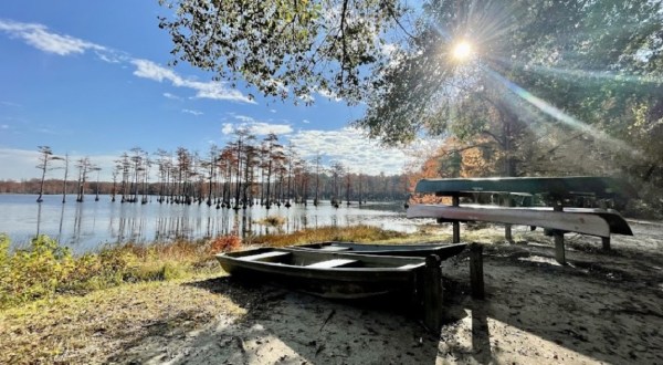 This Little-Known Lake Is Perfect For Easy Fishing, Kayaking, And Bird Watching In South Carolina