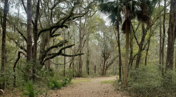 This Little-Known Trail Is Quite Possibly The Best Biking And Walking Path In South Carolina