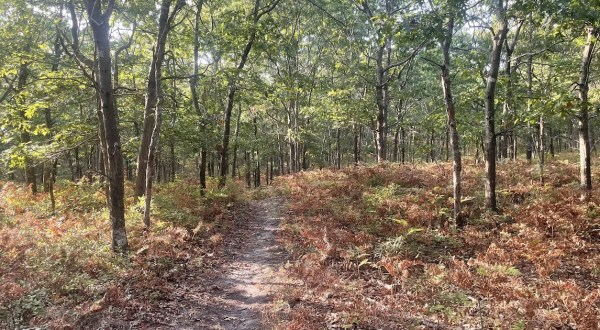 Enjoy A Long Walk At This Underrated County Park In New York