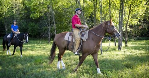 best equestrian trail in Willow Springs, Illinois