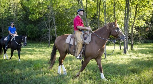 This Little-Known Trail Is Quite Possibly The Best Horseback Riding Path In Illinois