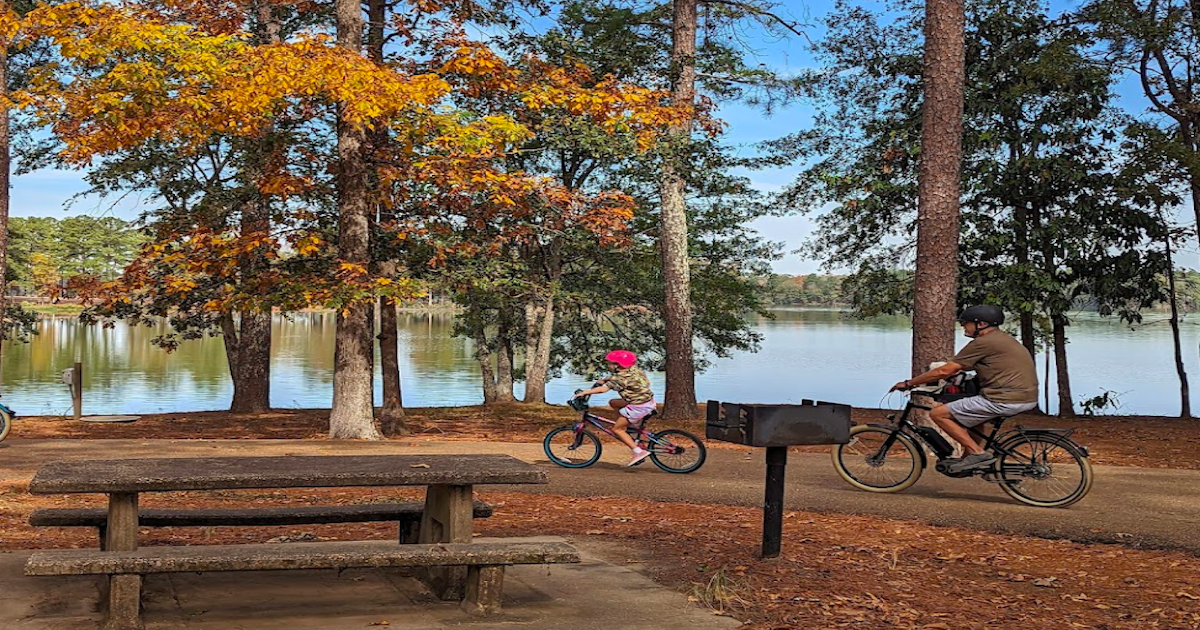 Your Ultimate Guide To State Parks In Mississippi