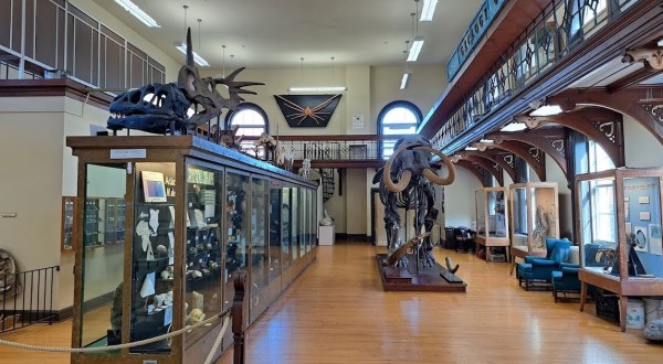 A Trip To This New Jersey City Isn’t Complete Without Visiting This 2-Story Museum