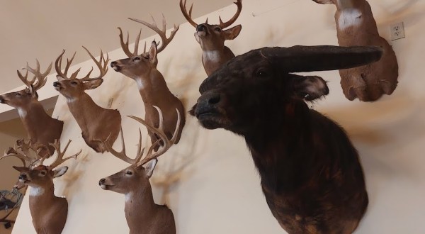 The Hunting-Themed Pub In New Jersey Is Truly Enchanting