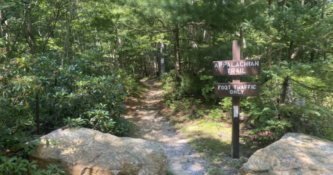 The Iconic Hiking Trail In Pennsylvania Is One Of The Coolest Outdoor Adventures You’ll Ever Take