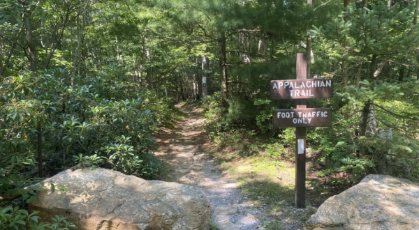 The Iconic Hiking Trail In Pennsylvania Is One Of The Coolest Outdoor Adventures You’ll Ever Take