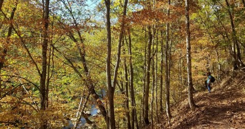 The Iconic Hiking Trail In West Virginia Is One Of The Coolest Outdoor Adventures You’ll Ever Take