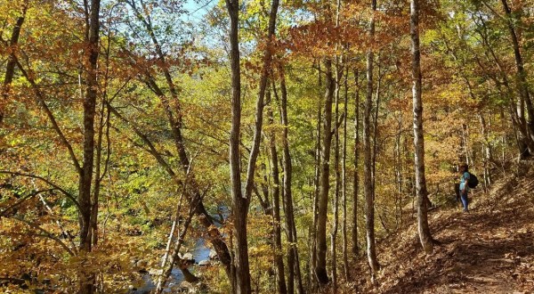The Iconic Hiking Trail In West Virginia Is One Of The Coolest Outdoor Adventures You’ll Ever Take