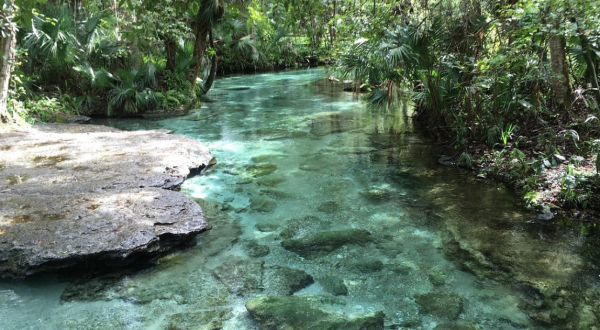 10 Incredible Hidden Gems In Florida You’ll Want To Discover This Year