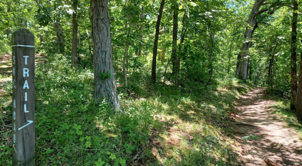 Enjoy A Long Walk At This Underrated State Park In Illinois