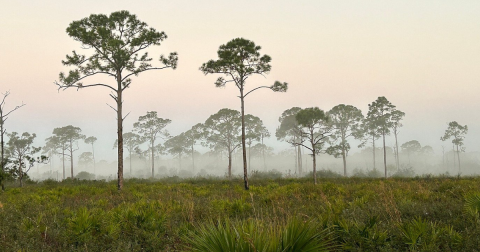 One Of The Best Campgrounds In Florida Is Open For Adventure Year-Round