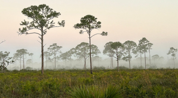 One Of The Best Campgrounds In Florida Is Open For Adventure Year-Round