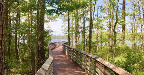 The Iconic Hiking Trail In Florida Is One Of The Coolest Outdoor Adventures You’ll Ever Take