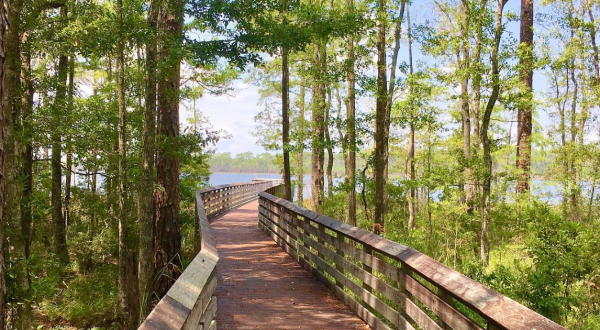 The Iconic Hiking Trail In Florida Is One Of The Coolest Outdoor Adventures You’ll Ever Take