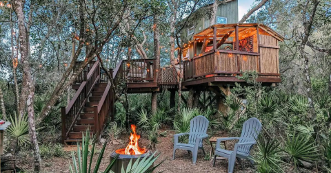 Stay In A Treehouse Bungalow Overlooking The Lush Jungle Foliage In Florida