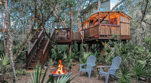 Stay In A Treehouse Bungalow Overlooking The Lush Jungle Foliage In Florida