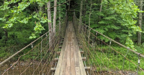 The Terrifying Mill Run Suspended Bridge In Virginia Will Make Your Stomach Drop