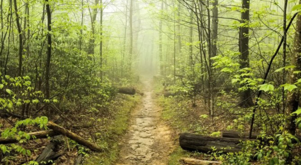 Take An Old Settler Road To Hazel Falls, Virginia’s Beautiful Hidden Waterfall