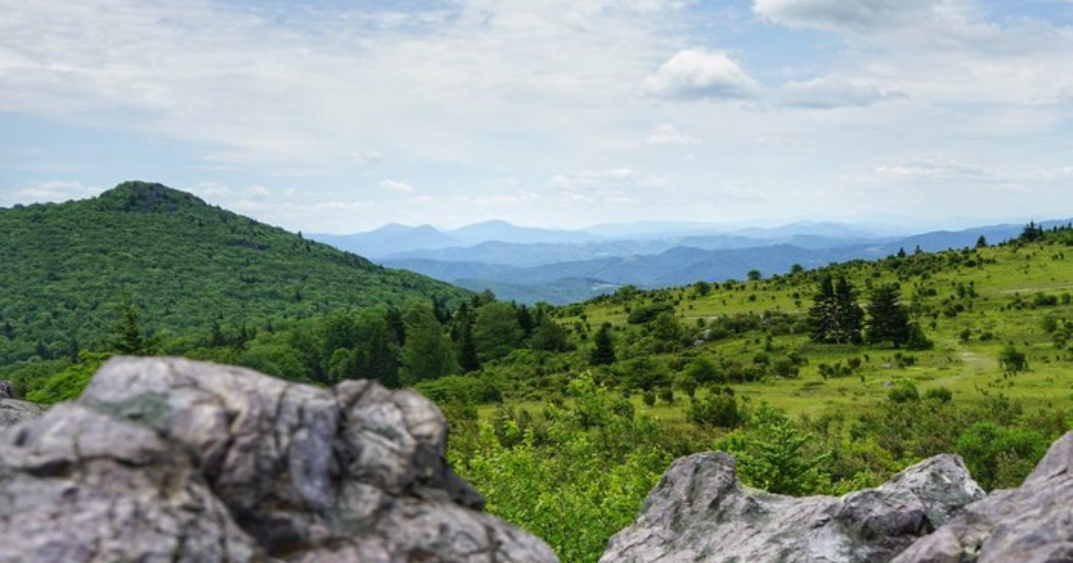 Your Ultimate Guide To State Parks In Virginia
