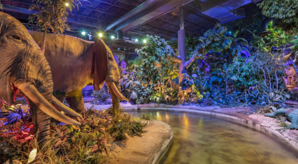 Texas Is Home To The Only Rainforest Cafe Restaurant With A River Boat Ride