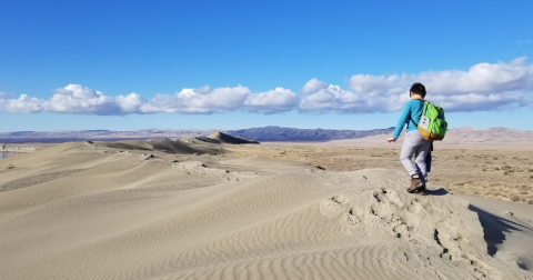 Explore A Wildlife Refuge, Nuclear Site, And Washington's Sand Dunes In One Day When You Visit This Unique Park In Washington