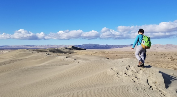 Explore A Wildlife Refuge, Nuclear Site, And Washington’s Sand Dunes In One Day When You Visit This Unique Park In Washington