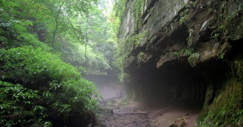 Your Ultimate Guide To State Parks In Indiana