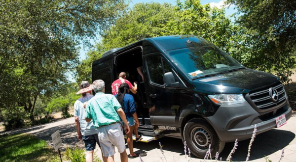 This Half-Day Wine Shuttle Takes You To 3 Of The Best Vineyards In The Iconic Texas Hill Country