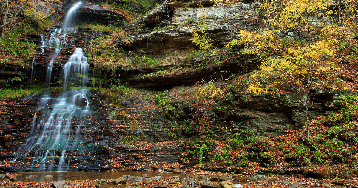 Your Ultimate Guide To State Parks In West Virginia