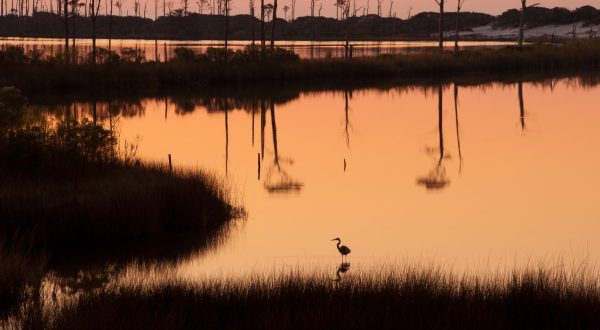 Your Ultimate Guide To State Parks In Alabama