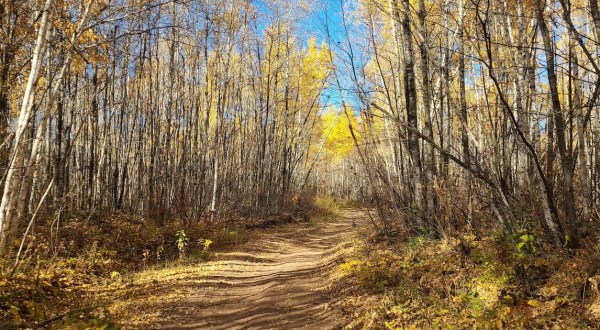 The Iconic Hiking Trail In Minnesota Is One Of The Coolest Outdoor Adventures You’ll Ever Take