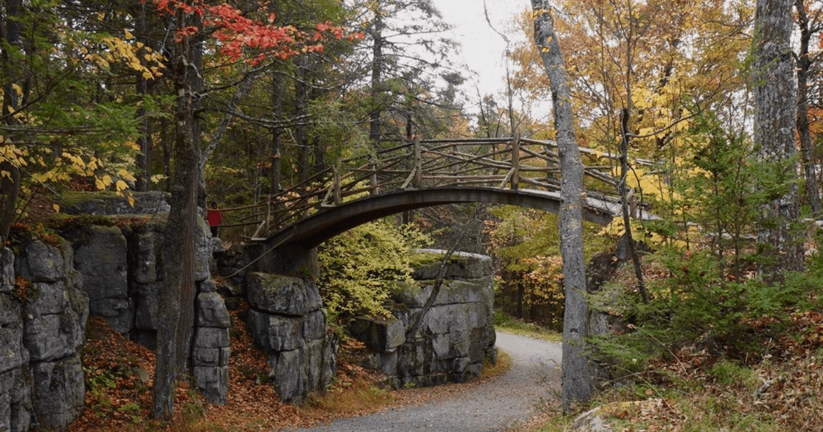 Your Ultimate Guide To State Parks In New York