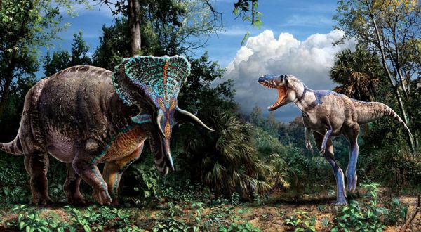Don’t Miss The Biggest Amazing Discovery In North Carolina This Year, Dueling Dinosaurs