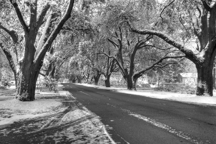 Avenue of the Oaks, Aiken, S.C.