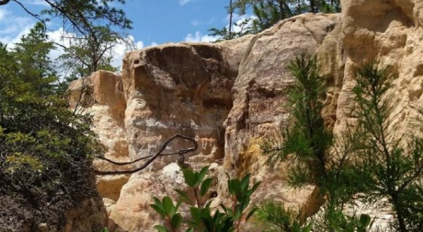 We Bet You Didn’t Know There Was A Miniature Grand Canyon In South Carolina