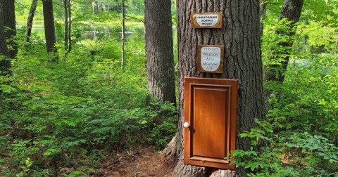 New Hampshire's Winnie The Pooh Trail Is A Perfect Nature Walk For Kids