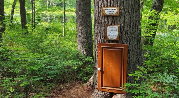 New Hampshire’s Winnie The Pooh Trail Is A Perfect Nature Walk For Kids
