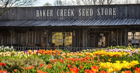 Welcome Spring At The Baker Creek Tulip Festival In Missouri This April