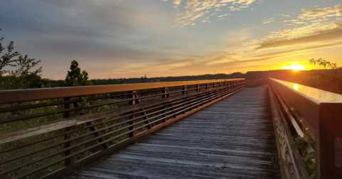 The 11.1-Mile Scenic Bike Ride In Missouri You Will Want To Take As Soon As You Can