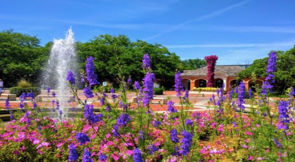 Your Ultimate Guide To Spring Attractions And Activities In Louisiana