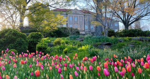 Your Ultimate Guide To Spring Attractions And Activities In Tennessee