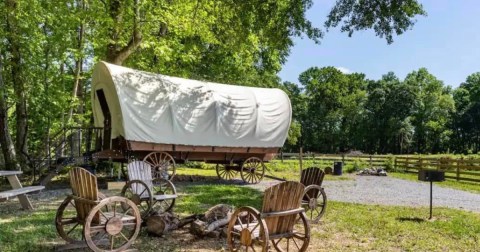 Stay In A Covered Wagon On A Tennessee Farm With Wild Animal Experiences