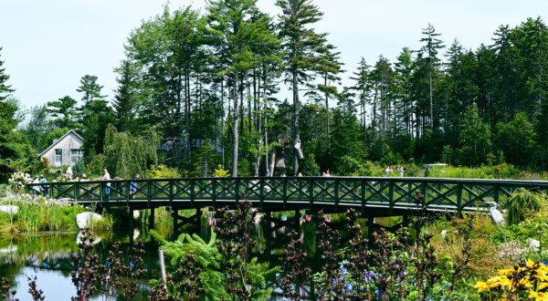 Your Ultimate Guide To Spring Attractions And Activities In Maine