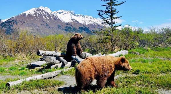 Your Ultimate Guide To Spring Attractions And Activities In Alaska