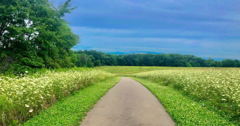 Trail Lake Park Is One Of The Newest Parks In Greater Cleveland And It's Incredible