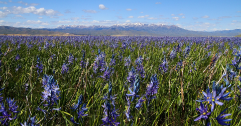 Your Ultimate Guide To Spring Attractions And Activities In Idaho