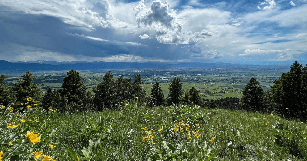 Your Ultimate Guide To Spring Attractions And Activities In Montana
