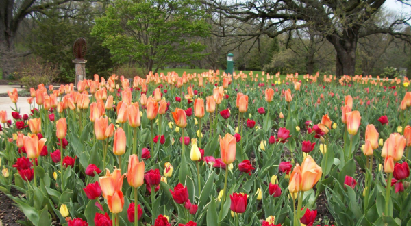 Your Ultimate Guide To Spring Attractions And Activities In Wisconsin