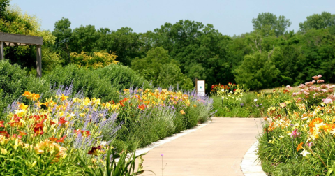 Your Ultimate Guide To Spring Attractions And Activities In Missouri